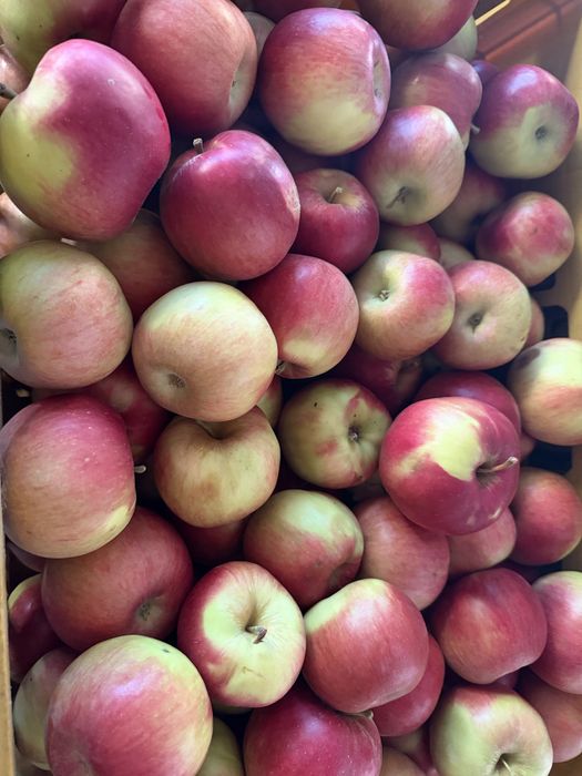 Vând 500 kg mere de consum – 2,5 lei/kg (ridicare din Geoagiul de Sus, Alba)
