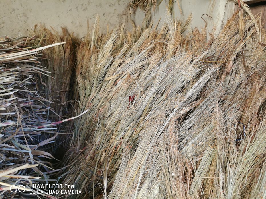 Продавам метлен клас - стара и нова реколта