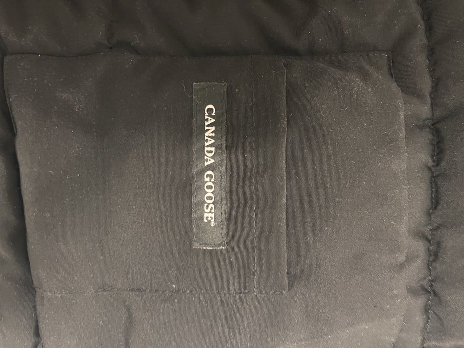 vesta canada goose
