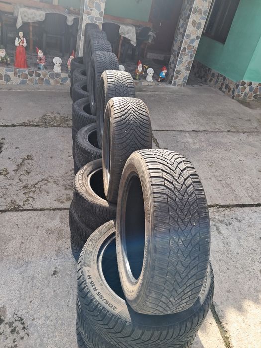 Vând porumbei ce se vede R16