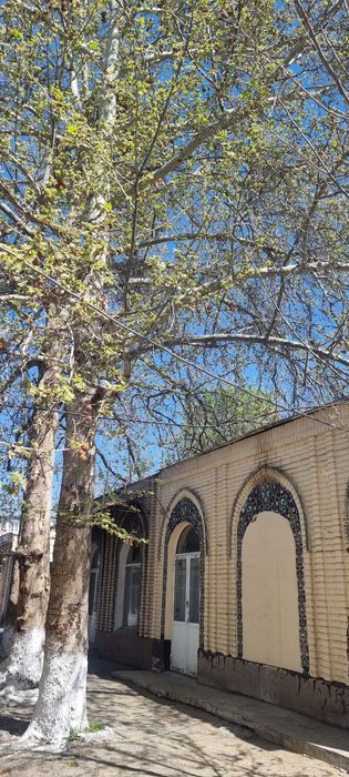 Сдается помещение Юнус обод. 116 м.кв или половина 56 м.кв