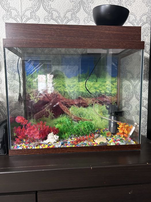 Продаю  аквариум большой