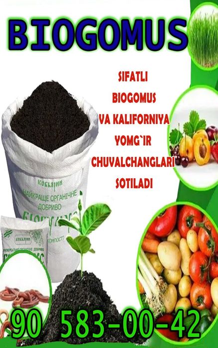 Biogomes bor elangan tayor 5l elakdan otkan