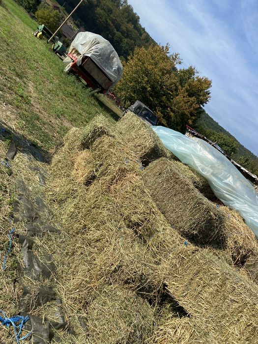 Baloti otava si lucerna