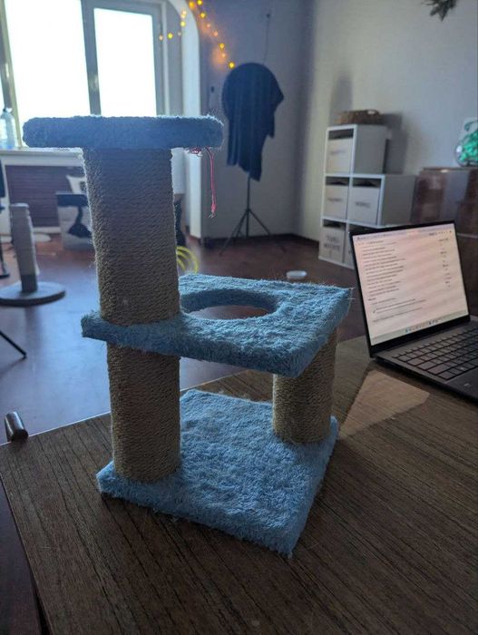 Когтеточка для котят