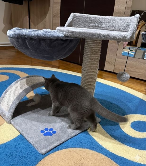 Ansamblu/Stalp de joaca pentru pisici