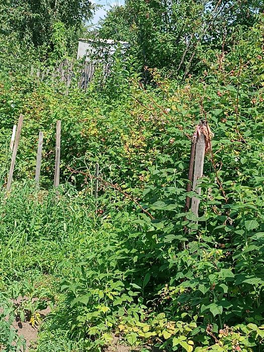 Продам дачу, сад "Здоровье"