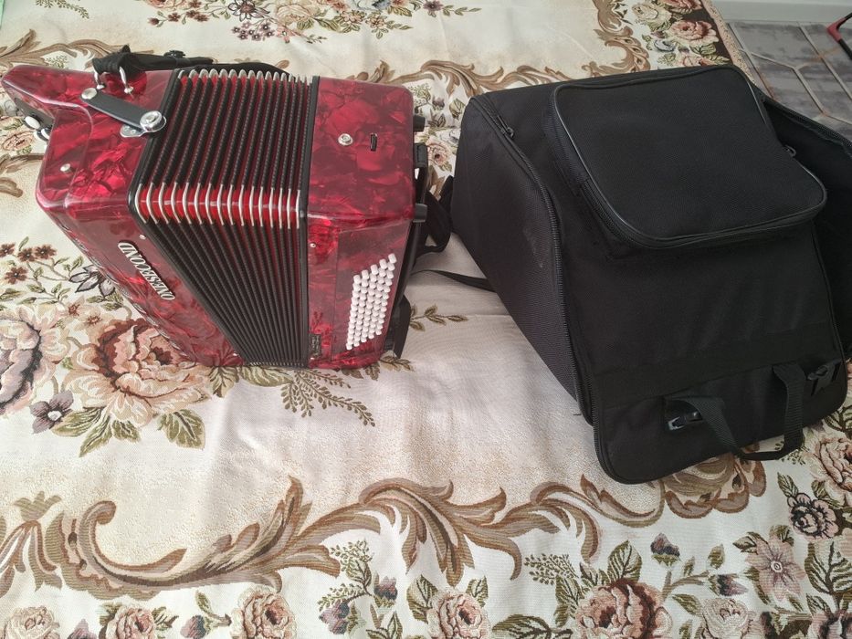 Баян инстурмент...