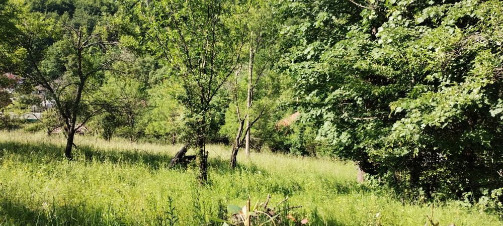 Панорамен Парцел в гр. Априлци в регулация и ПУП за курортен обект