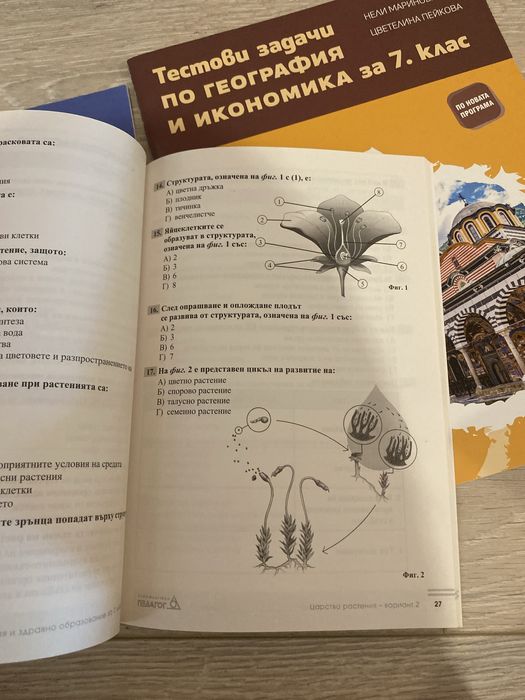 Тренировъчни тестове и задачи 7клас