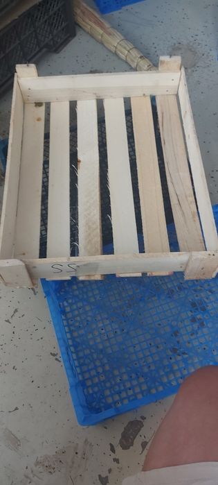 Ящики деревянные.