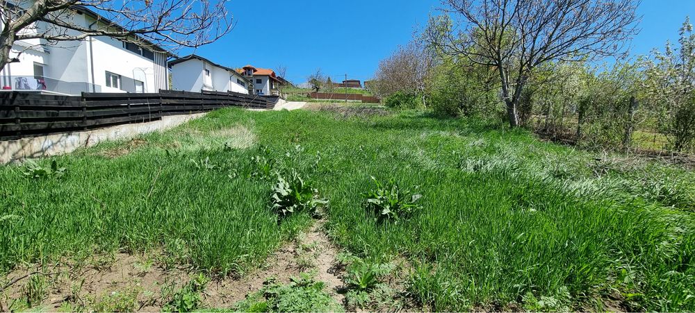 Teren de vanzare Valea Lupului
