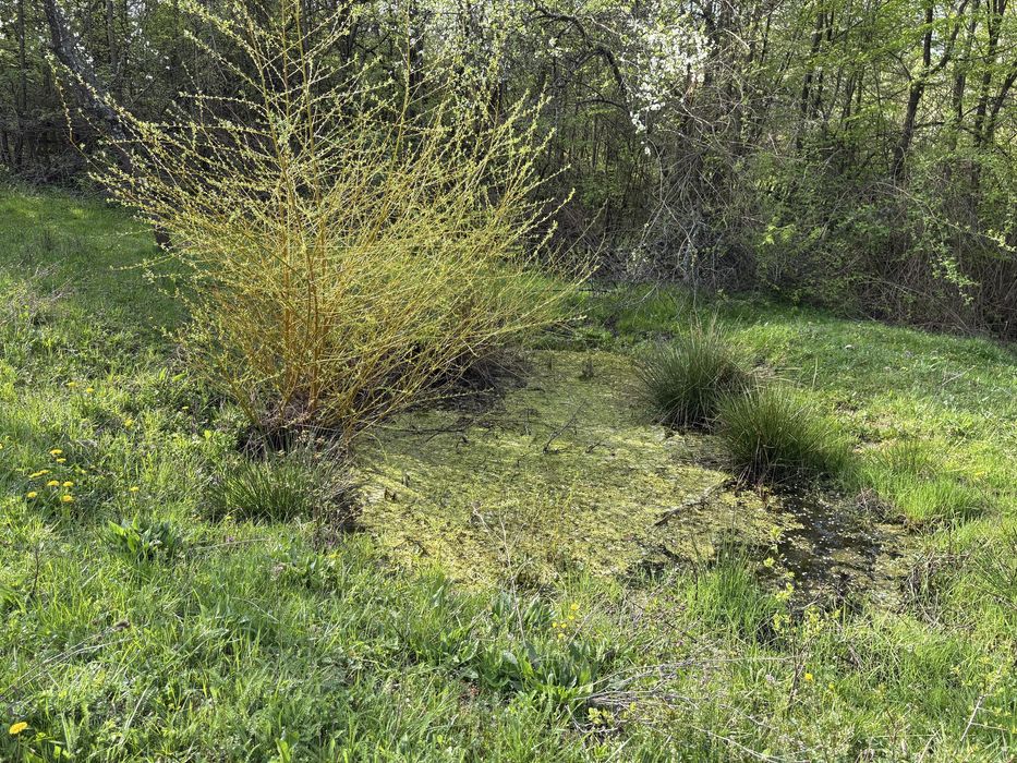 TEREN + CASĂ + LIVADĂ | 5200 mp ideal investietie sau locuinta