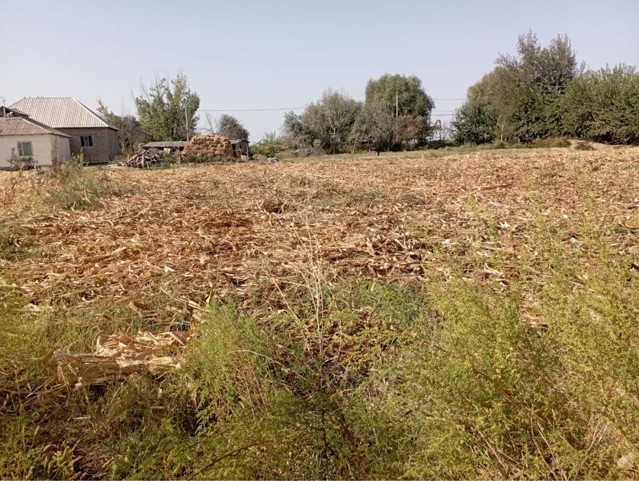 Участок жетісай алғабас