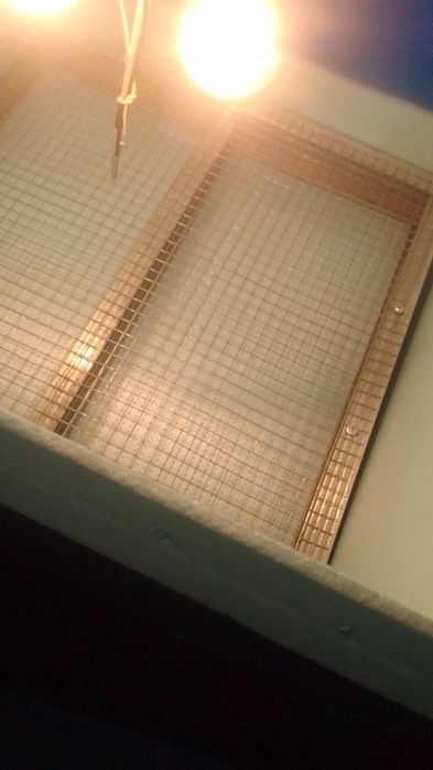 ИНКУБАТОР на 120 яиц