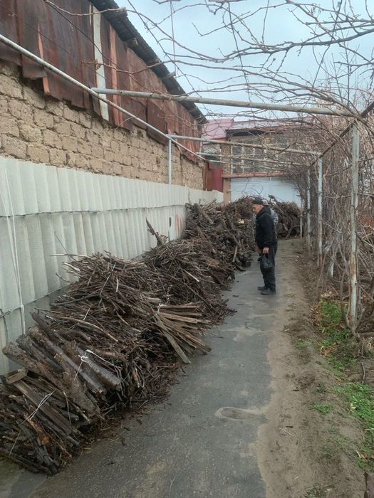 Продаются дрова))