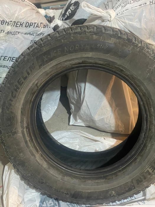 Зимние шины Michelin