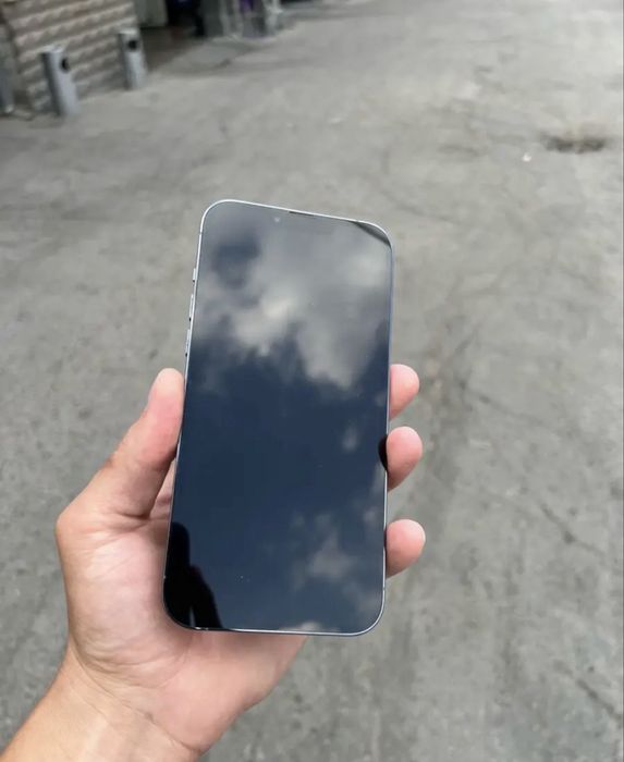 iPhone 13 Pro Max 256