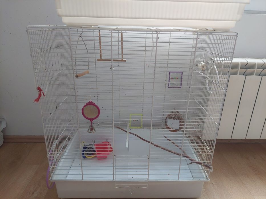 Vând 2 cuști de papagalii/canari , ambele la 300 leo