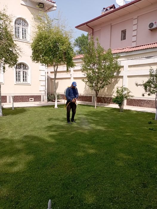 Archa dekaratif ekish dorilash