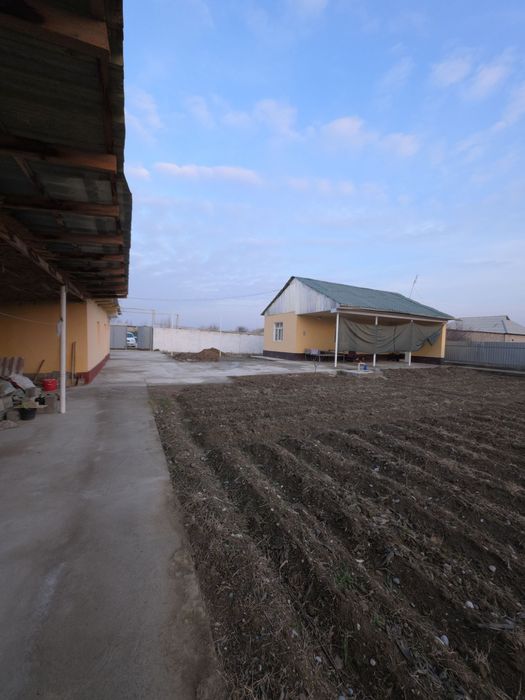 Zafarga uch kilometr Dalvarzin birinchi savxozda uchaska sotiladi.