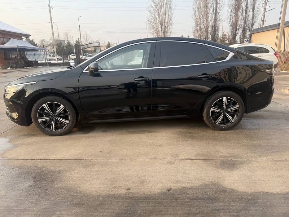 BYD chazor 120 tali ful 4pazitsa