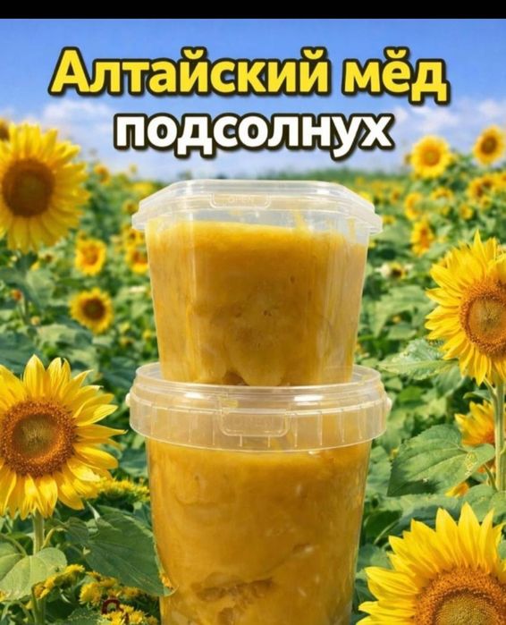 Продаю мед Алтайский