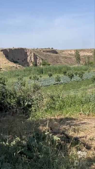УНИКАЛЬНЫЙ инвестиционный комплекс в Ташобласти