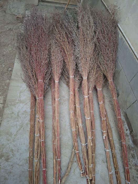 Hovli supurgi ховли супиргы веник