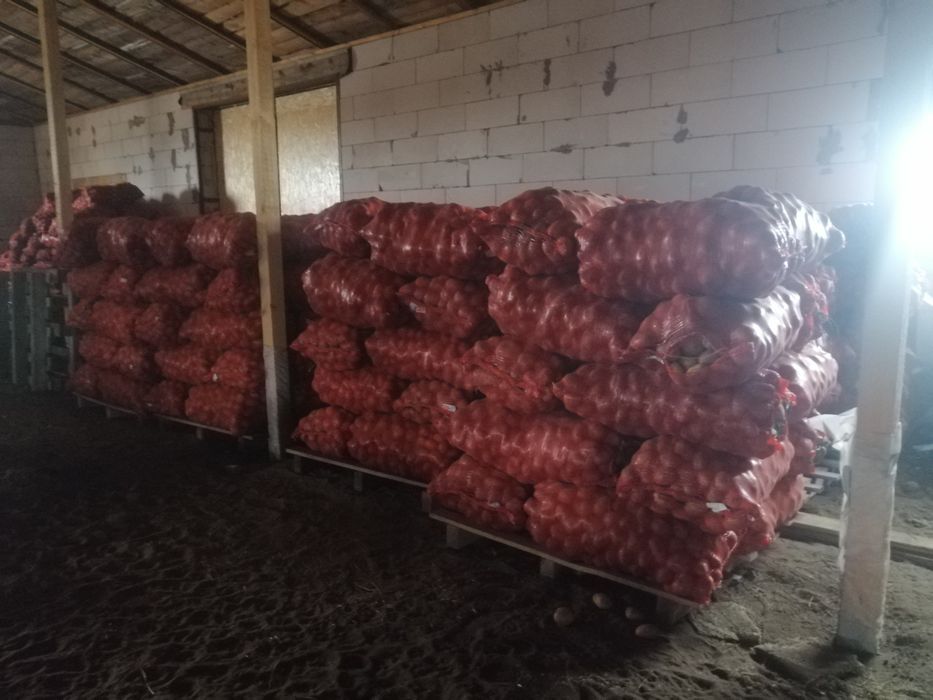 Продам  картофель едавой