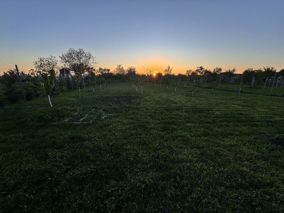 Teren intravilan 1100 mp, apă, livadă – Calacea, Timiș