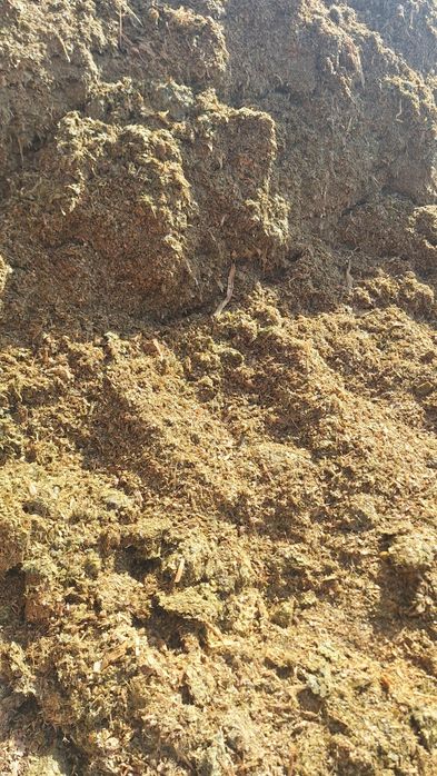 ДонСелос  мешок 20 кг стандарт   с даставкой  по городу Самаркандд