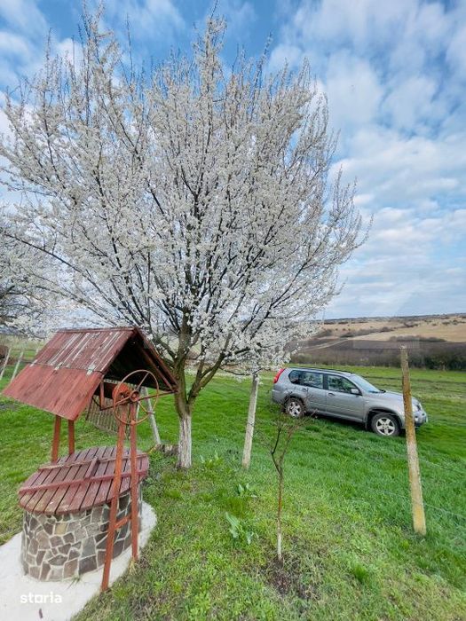 Cabana cu livada si panorama superba – Refugiu in natura, Blaj