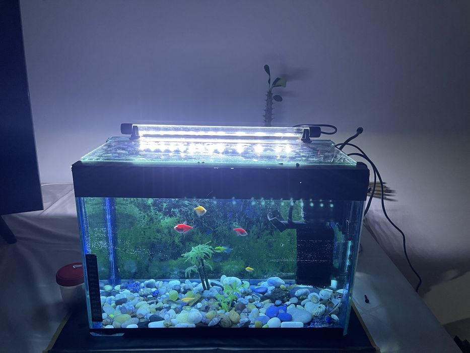 Продам аквариум с рымками