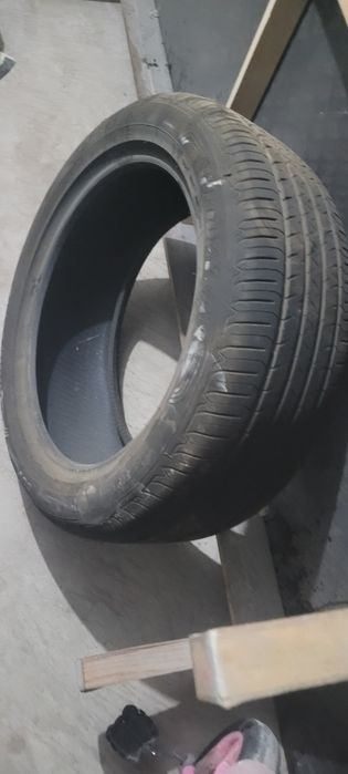 Автомобильная шина