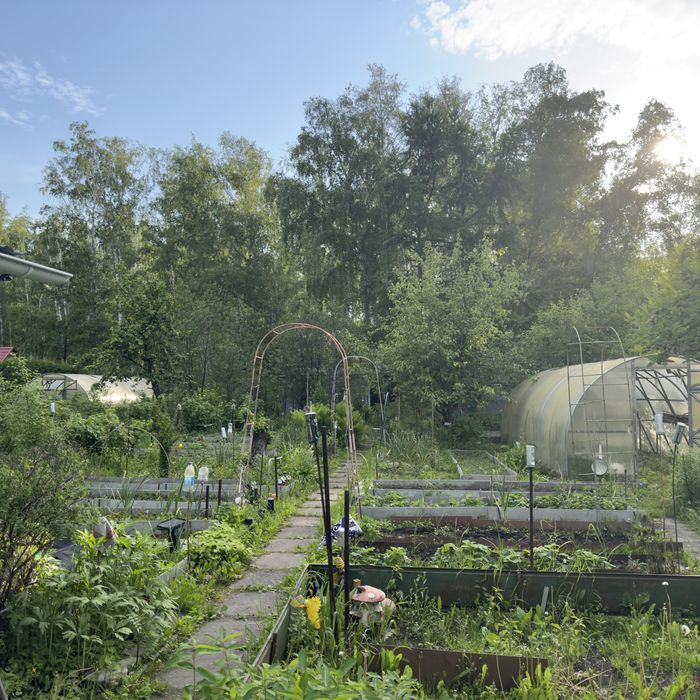 Дача Со горизонт