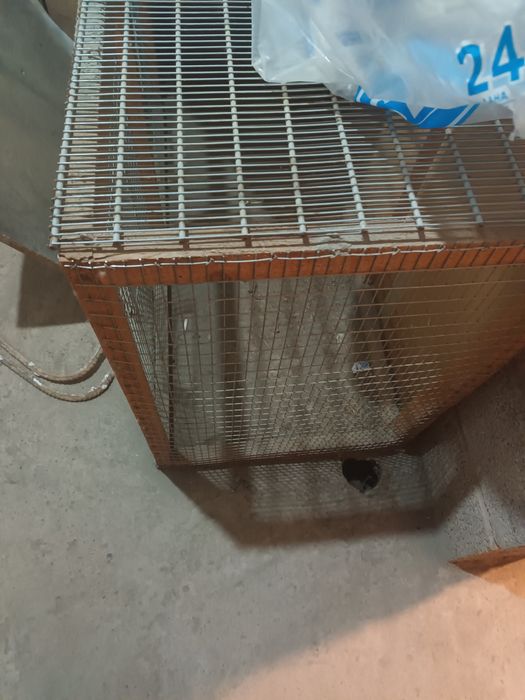 Клетка для птиц.
