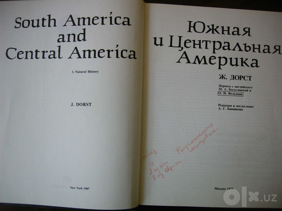 Южная и Центральная Америка