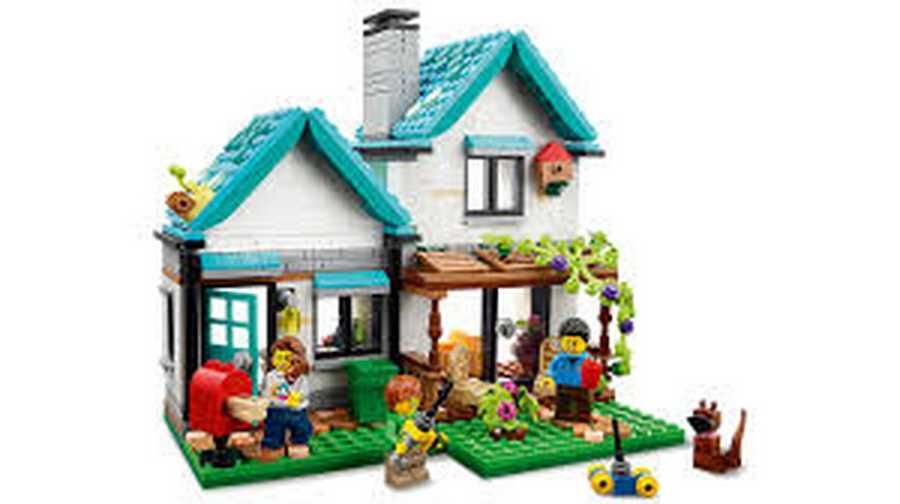 Colaborare lunga durata cu o familie pentru menaj si intretinere casa