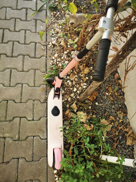 Trotineta electrica pentru fetite 5 - 8 ani