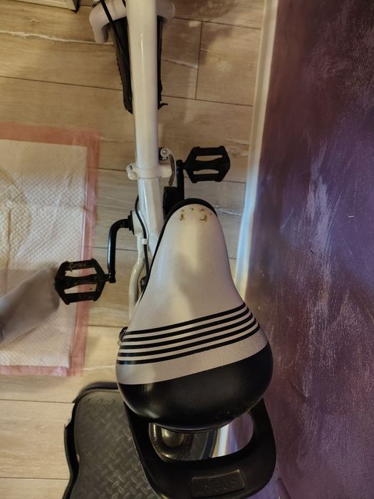 Bicicletă vârstă pentru copii 5 ani