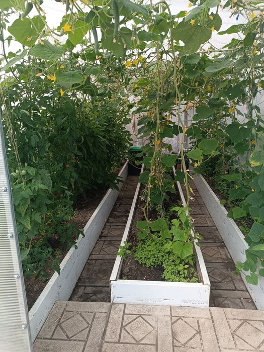 Продаю уютный дом