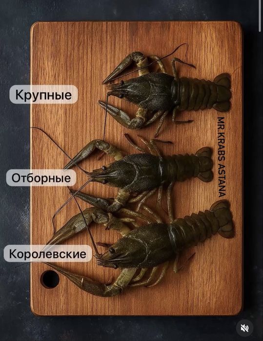 Живые раки Астана