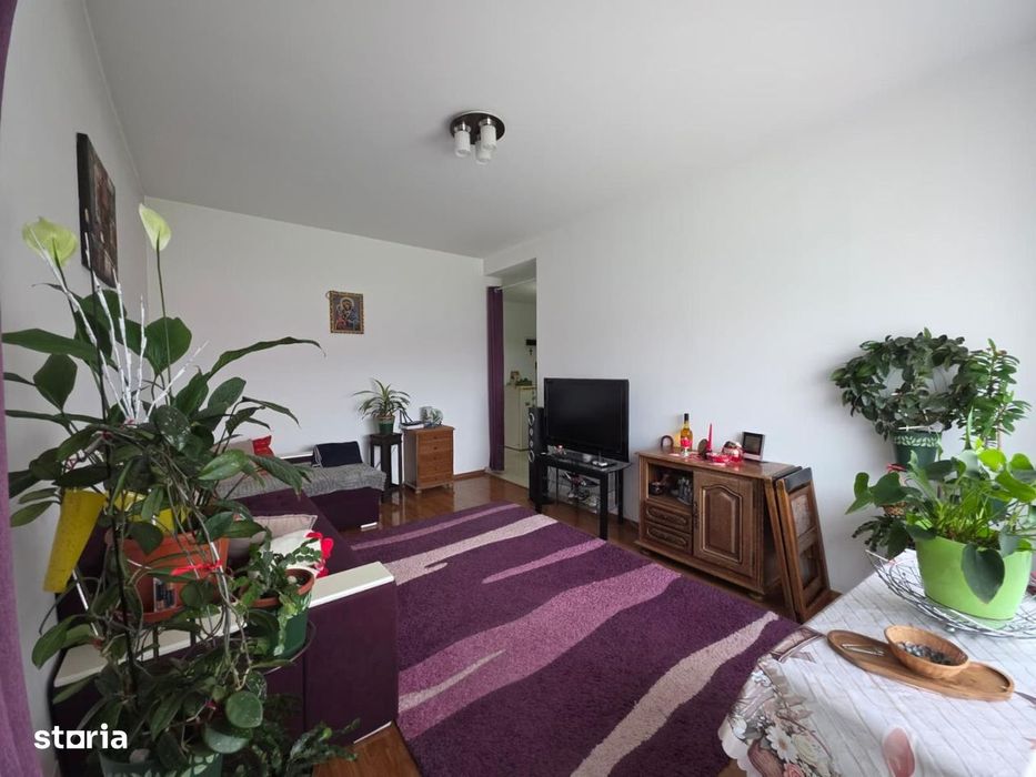 Vanzari Apartamente 3 camere Bragadiru