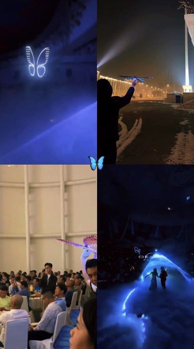 Бабочка-летающая Дрон