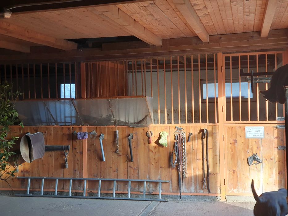 Pensiune pentru cai/ cazare cai