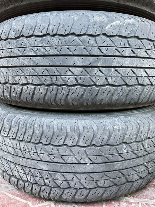 Шины Dunlop летние на прадо