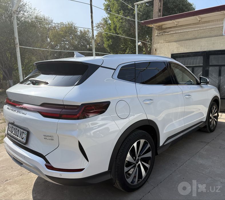 BYD SONG PLUS champion