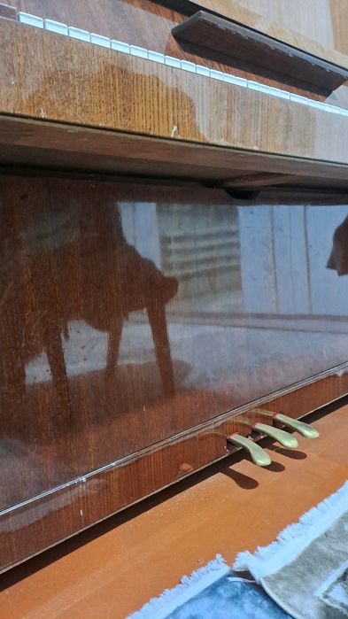 Алам деушілер келіп көруге болады !!!