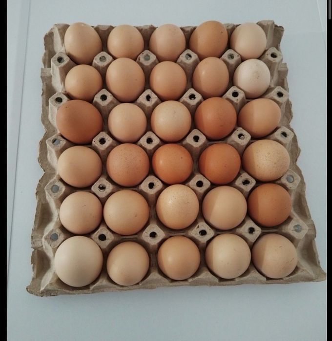 Oua de casa ,proaspete